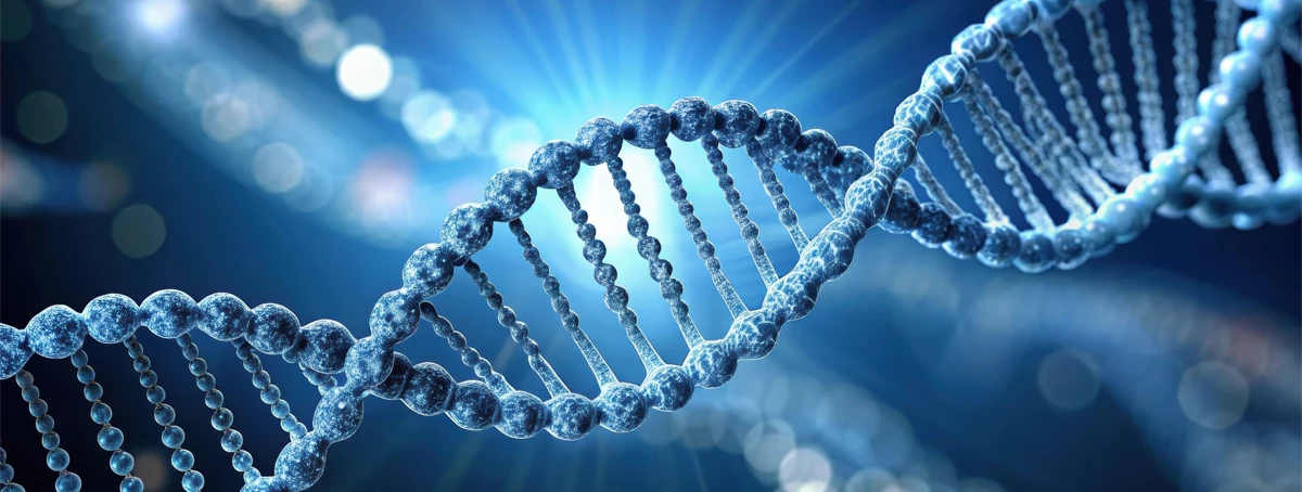 DNA Strand